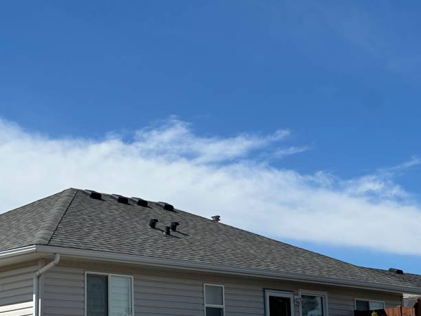 Best Gutter Installation and Repair  in Bargaintown, NJ